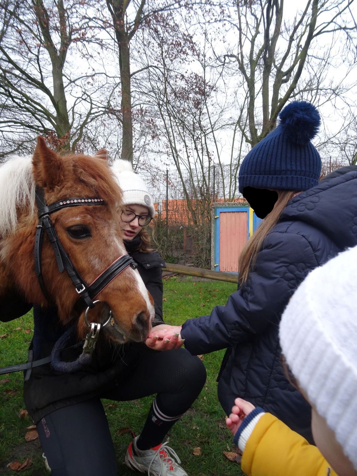 InkedKarneval_Pferdebesuch_2.jpg